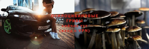 ГАЛЛЮЦИНОГЕННЫЕ ГРИБЫ Алзамай