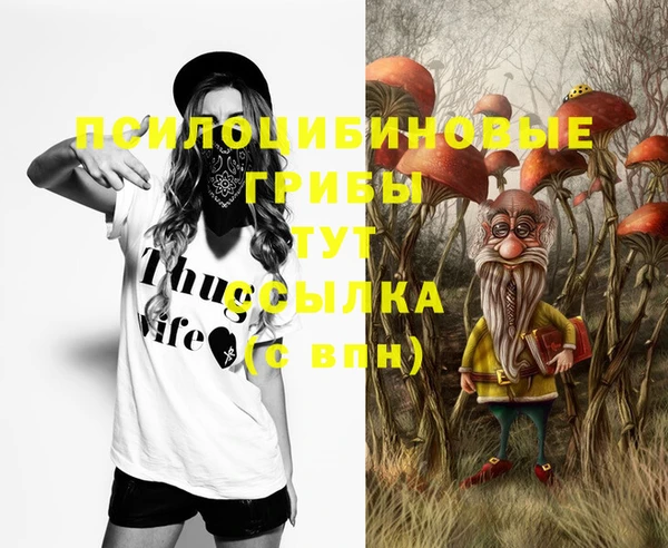 ГАЛЛЮЦИНОГЕННЫЕ ГРИБЫ Алзамай