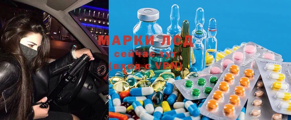ГАЛЛЮЦИНОГЕННЫЕ ГРИБЫ Алзамай