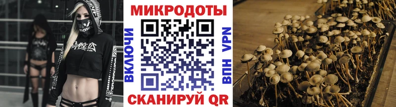 Псилоцибиновые грибы мицелий  наркошоп  Дюртюли 