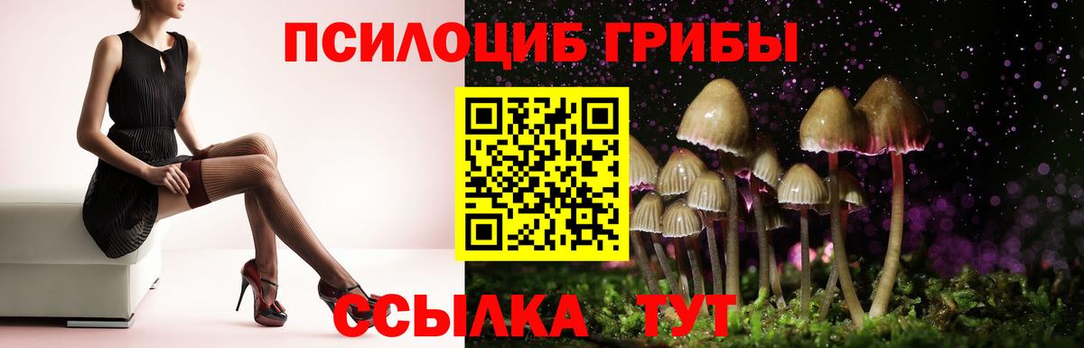Галлюциногенные грибы Cubensis Дюртюли